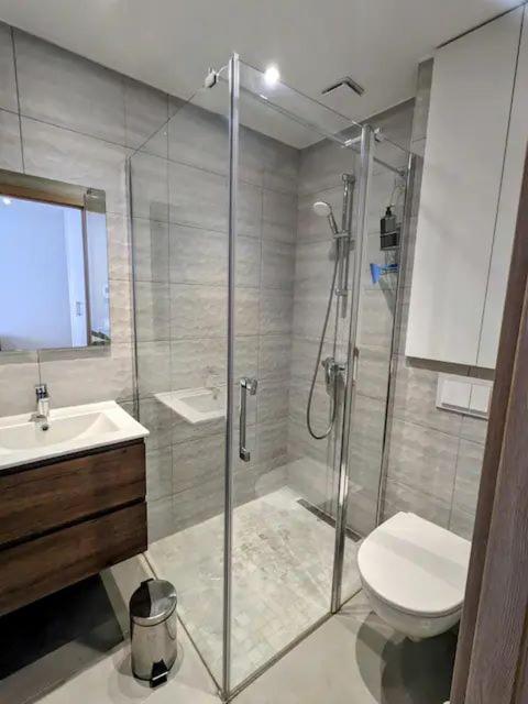 Studio Renove Coeur Pieton Thonon-les-Bains Extérieur photo